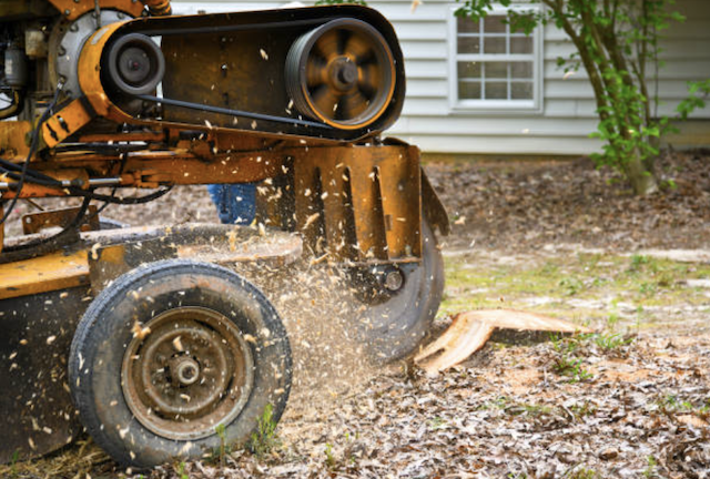 stump grinding milwaukee wi